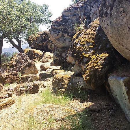 Appartamento Flor Da Ramila Marvão Esterno foto