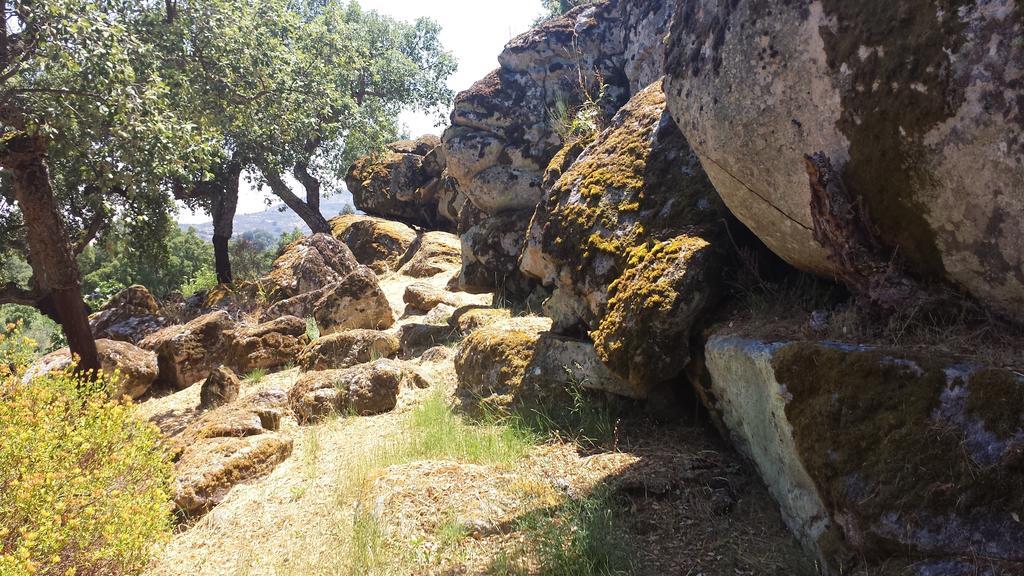 Appartamento Flor Da Ramila Marvão Esterno foto
